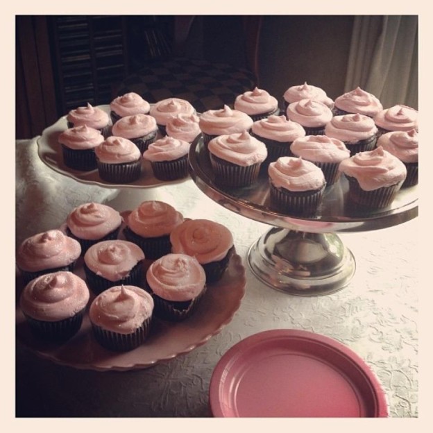Cupcakes by Shannon